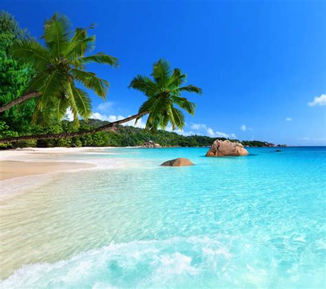 Tropical Beach Strand Wallpaper Beach Wallpaper Jamaica Vacation Vacation Spots Famous