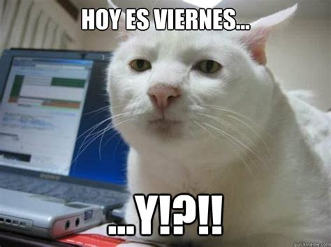 Hoy Es Viernes Y Gato Indiferente Quickmeme