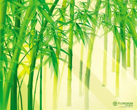 Green Bamboo Wallpapers Wallpaper Cave