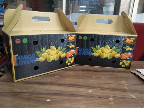 Kraft Paper Single Wall 3 Ply Mango Packaging Box 1 Dozen Box