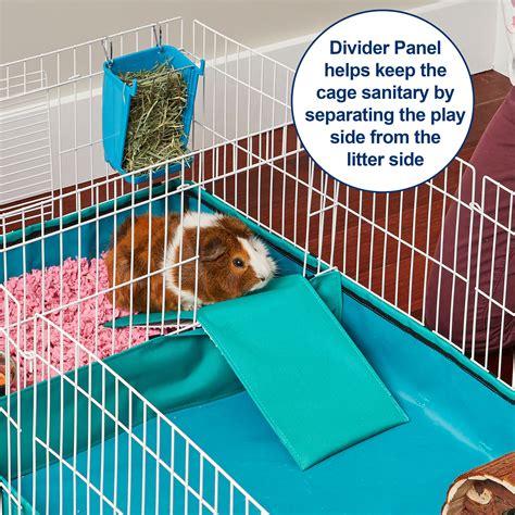 Midwest Guinea Pig Cage Ideas