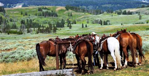 The Top 10 National Parks For Horseback Riding