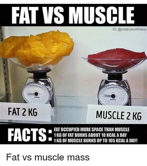 Fat Vs Muscle Ig Fitness Fat2kg Muscle 2 Kg Fatoccupied