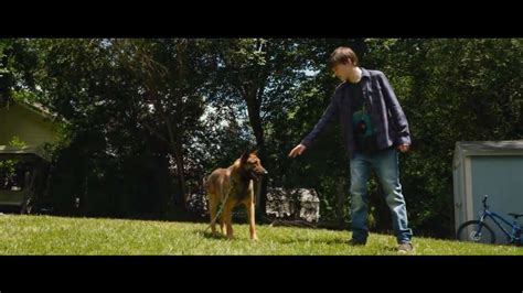 A dog finds the meaning of his own existence through the lives of the humans he meets. Trailer: 'Max'