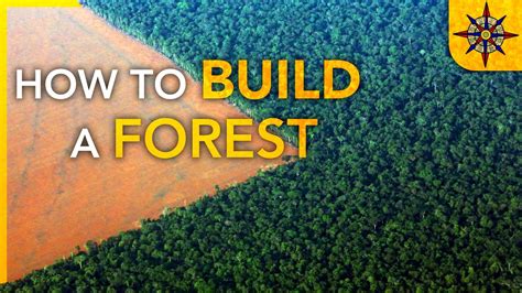 How To Build A Forest Youtube