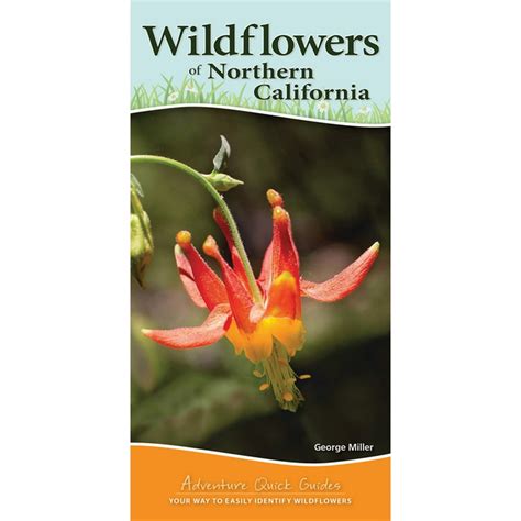Adventure Quick Guides Wildflowers Of Northern California Your Way