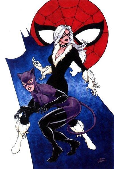 Black Cat With Catwoman Catwoman Selina Kyle Spiderman Batman