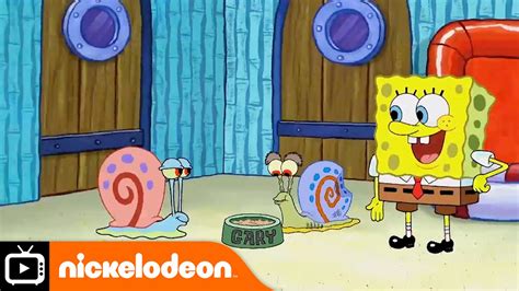 Super Snail Spongebob Squarepants Snail Sanctuary Nickelodeon Uk