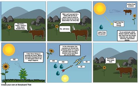 Photosynthesis Comic Strip Storyboard By Paulahrens