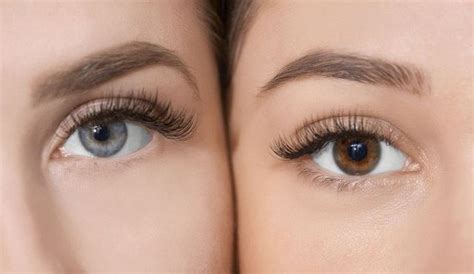 eyelash extensions 101 everything you need to know about lash extensions ph