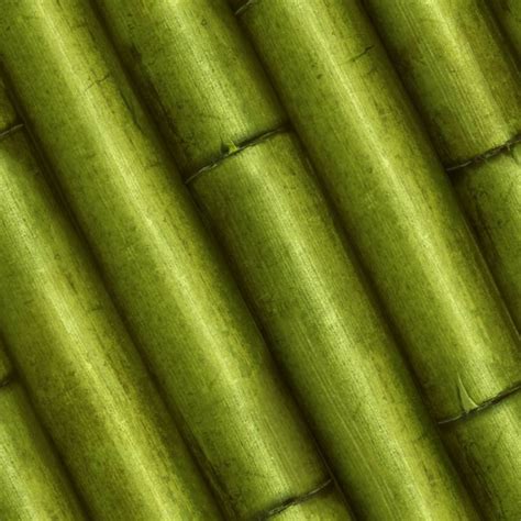 22 Bamboo Textures Patterns Backgrounds Design Trends Premium