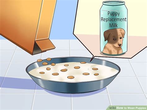 Weaning kittens is a natural process. How to Wean Puppies: 10 Steps (with Pictures) - wikiHow