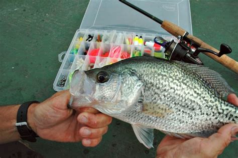 Hot Crappie Fishing Lures For Catching Slabs Of Panfish
