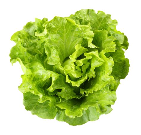 Lettuce Recalls Continue — Lawsuit Information Center Blog — October 20