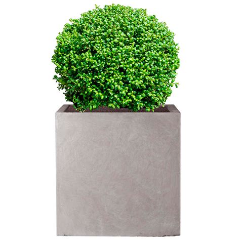 Square Box Contemporary Grey Light Concrete Garden Planter H30 L30 W30