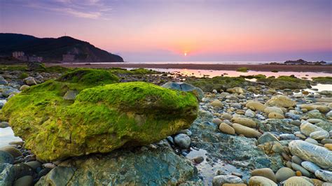 Wallpaper Sea Beach Rocks Stones Moss Morning Dawn Sunrise 1920x1080 Full Hd 2k Picture