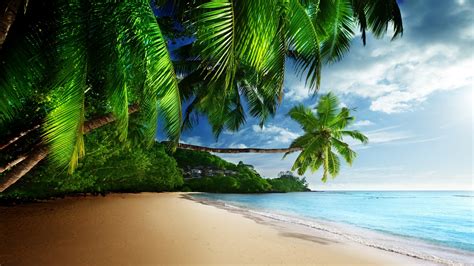 Free Download 10 4k Tropical Wallpapers Background Images 3840x2160