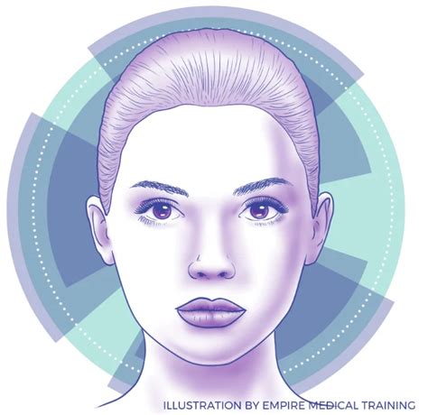 Botox Face Chart Empire Medical Training Blog