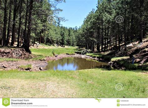 Woods Canyon Lake Coconino County Arizona United States Stock Photo