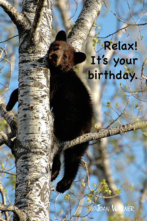 Relax Its Your Birthday Photograph By Joan Wallner