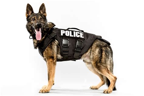Amazing Police Dog Portraits Huffpost