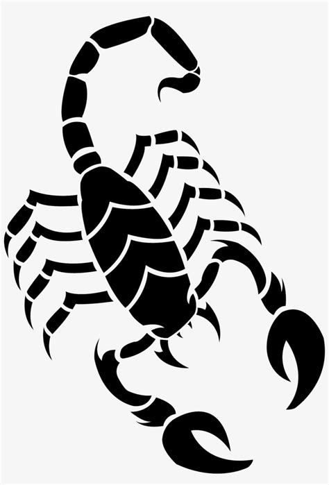 Scorpion Drawing Transparent Png 1469x2097 Free Download On Nicepng