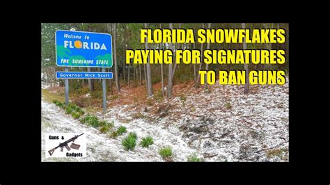 Florida Snowflakes Paying For Signatures To Ban Guns Youtube
