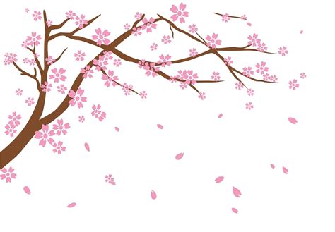 Falling Cherry Blossoms Png Png Image Collection
