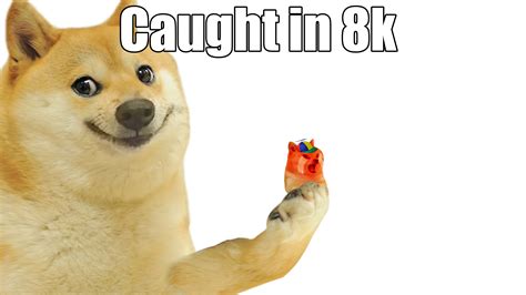 Le 4k This 4k That Try 8k Rdogelore Ironic Doge Memes Know