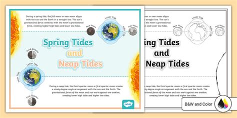 Spring Tides And Neap Tides Poster Teacher Made Twinkl
