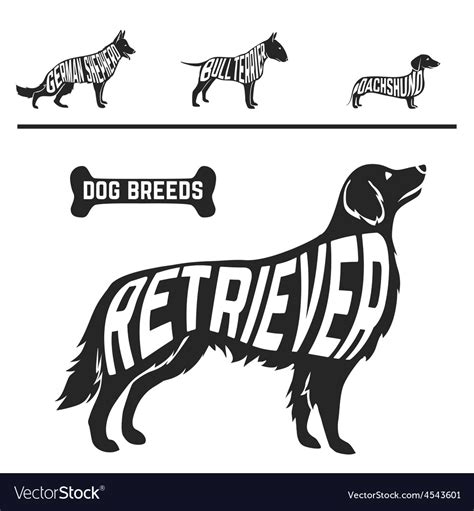 Set Of Different Dog Breeds Silhouettes Isolated Vector Image