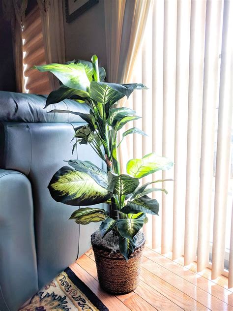 The Art Of Decorating With Artificial Plants Easy Carfree Decor Ideas
