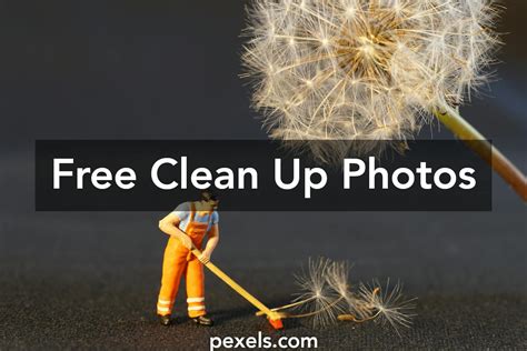 1000 Great Clean Up Photos · Pexels · Free Stock Photos