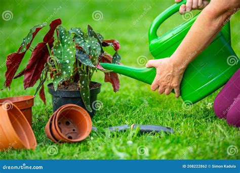 Senior Woman Watering Her New Plants Or Flower In The Huge Garden