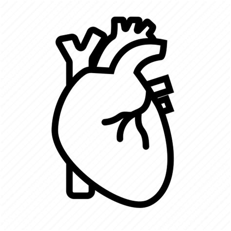 Human Heart Black And White Clipart