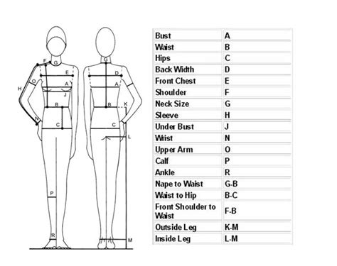 Free Download Sewing Body Measurement Chart For Women 591x468 For