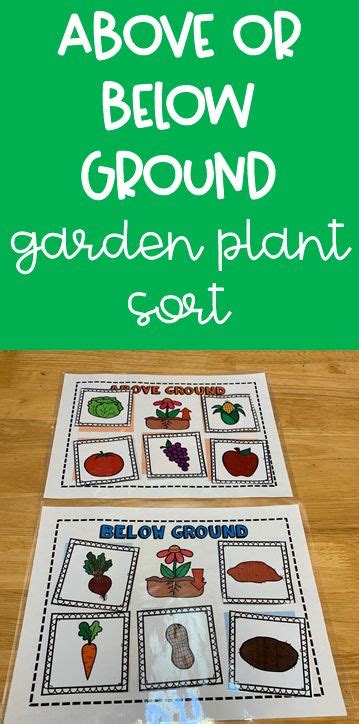 Preschool Plants and Gardens Theme Activity Pack | Theme activity