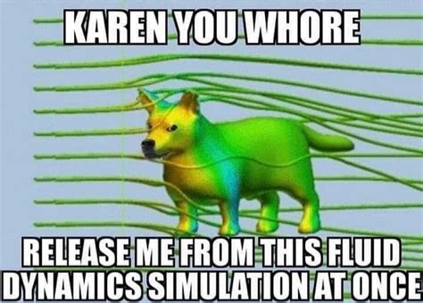 Release Me From Your Cfd Simulation At Once Rcfdmemes