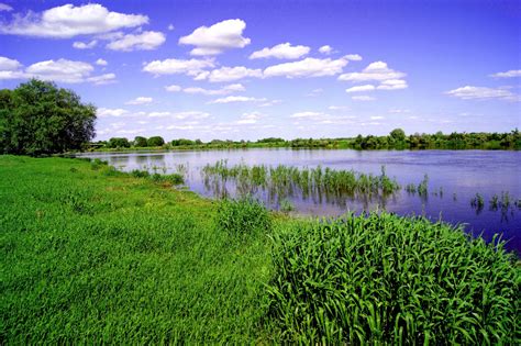 Free Images River Sky Summer Blue Green Cloud Tree Pond