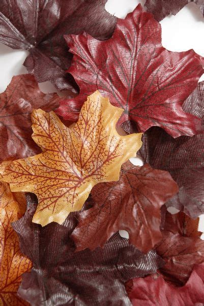 Silk Assorted Autumn Leaves 100 Leavespkg 699 Pkg 3 For 6 Pkg