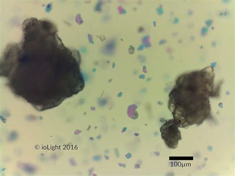 Field Microscopy Micro Plastic Particles In Cosmetics Cause Pollution