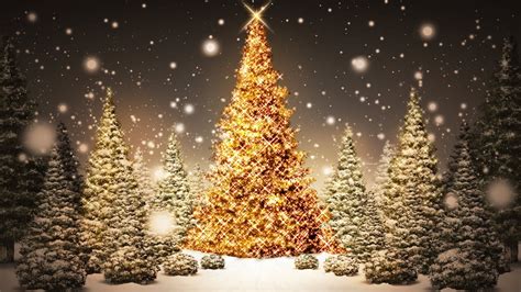 12 Fondos De Pantalla De árboles De Navidad En 5k Fondosdepantallatop