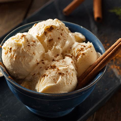 Cinnamon Ice Cream Recipe How To Make Cinnamon Ice Cream
