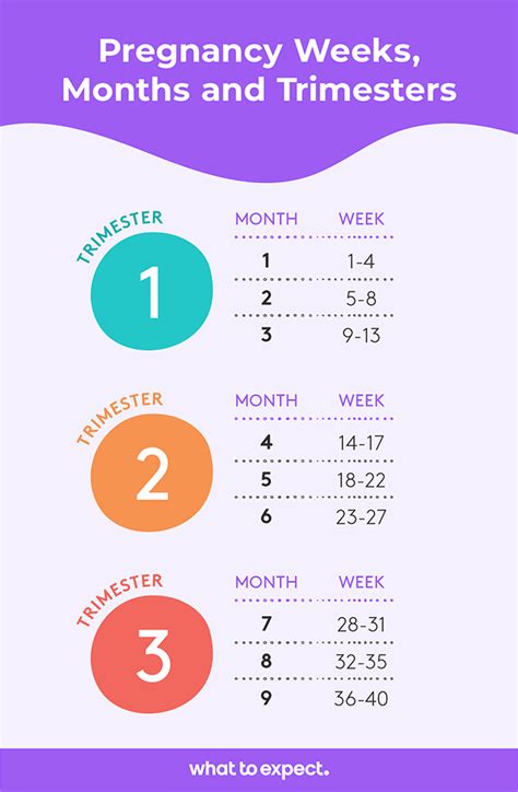 Pregnancy Weeks To Months How Many Weeks Months And Trimesters In A Pregnancy