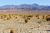 What Are The Characteristics Of A Semi-arid Climate Pattern? - WorldAtlas