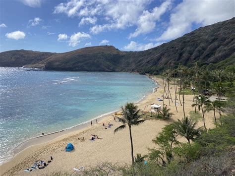 Everything You Need To Know About Visiting Hanauma Bay Now Hawaii