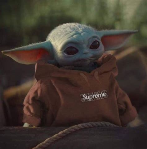 Photo Baby Yoda In Brown Supreme Hoodie With Draw Strings
