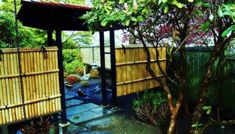 Line a walkway, grow a cluster, build a privacy wall, install a natural backdrop, or fill a container! Bamboo Garden Ideas Backyards | Bamboo garden, Backyard ...