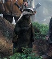 Badger | The Chronicles of Narnia Wiki | Fandom powered by Wikia