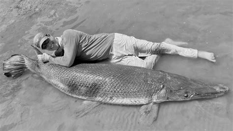 Details Emerge On The World Record Alligator Gar Caught At Sam Rayburn